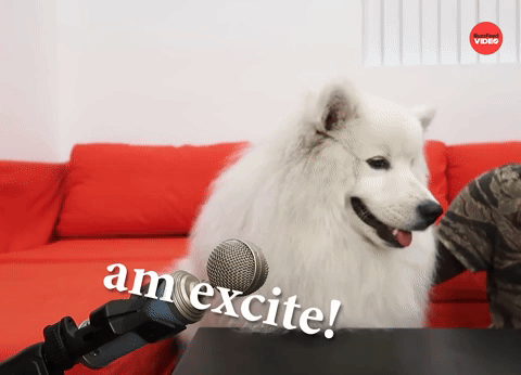 excite and hungar