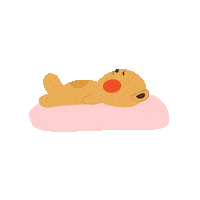 illregalo happy bear today rest Sticker