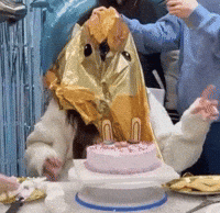 Birthday Peace GIF