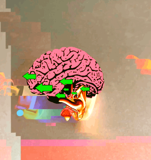 GIF by Ryan Seslow