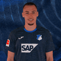 Sport Bundesliga GIF by TSG Hoffenheim