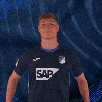 Sport Bundesliga GIF by TSG Hoffenheim