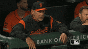 Regular Season Sport GIF by MLB