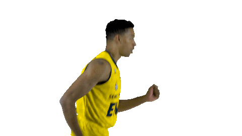 Ewe Baskets Basketball Sticker by EWE Baskets Oldenburg