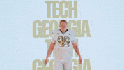 Georgia Tech Football Sport GIF by Georgia Tech Yellow Jackets