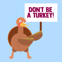 Renewable Energy Thanksgiving GIF by INTO ACTION