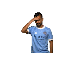 New York City Fc Reaction Sticker by NYCFC