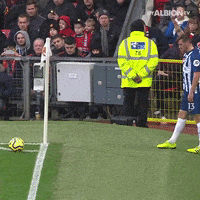 Soccer Futbol GIF by Brighton & Hove Albion Football Club