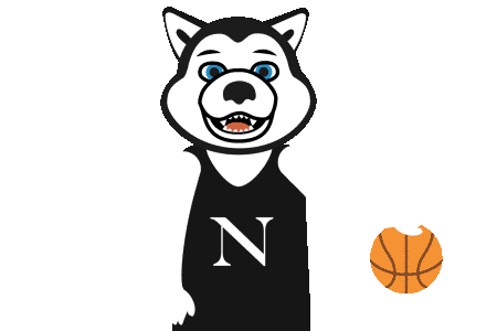 college basketball Sticker by Northeastern University
