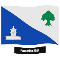 Comunidad Valenciana Flag Sticker by Formación Ninja