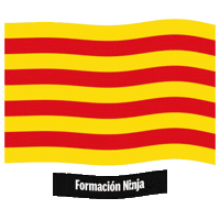 Comunidad Valenciana Flag Sticker by Formación Ninja