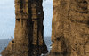splash cliff diving GIF by Red Bull