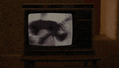 Stick To Your Guns GIF by Pure Noise Records