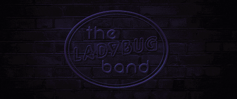 Ladybug Ocv GIF by Drumcorps BIMotion