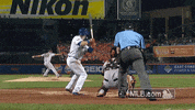 San Francisco Giants Baseball GIF by MLB