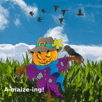 Halloween Autumn GIF
