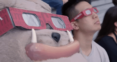 oh yeah shades GIF by University of Georgia