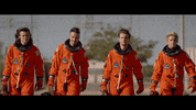 harry styles GIF by One Direction