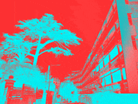 GIF by Trosdene