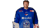 Tigershockey Sticker by Straubing Tigers