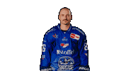Mckenzie Sticker by Straubing Tigers