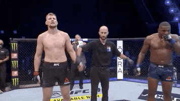 Alexander Volkov Sport GIF by UFC