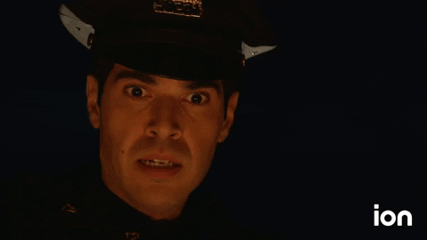 Blue Bloods GIF by ION