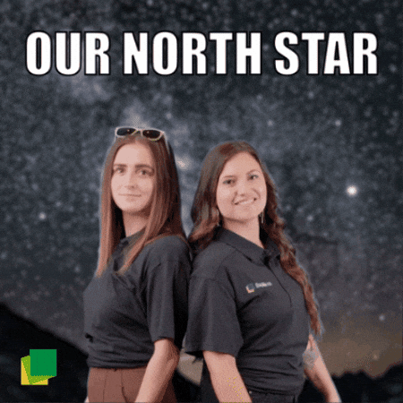 baywareamericas giphygifmaker star sky north star GIF
