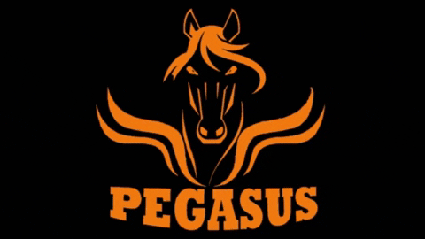 PegasusSolucionesIntegrales giphybackdropmaker empresa limpieza pegasus GIF