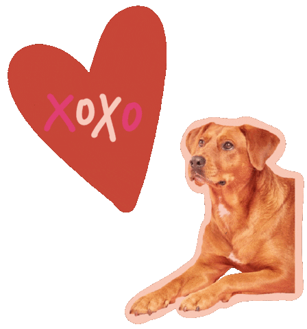 Dog Heart Sticker