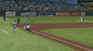 mlb GIF by SB Nation