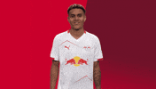 Happy Football GIF by RB Leipzig