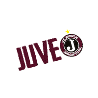 gejuventusjaraguadosul juventus juve jaraguadosul molequetravesso Sticker