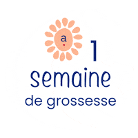 Baby Grossesse Sticker by Absorba