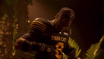 Tiger-Cats Cfl GIF by Hamilton Sports Group