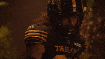 Tiger-Cats Cfl GIF by Hamilton Sports Group
