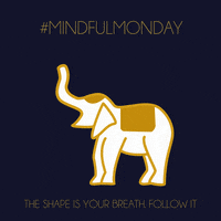 DiamondRehabThailand relax meditation calm mental health GIF