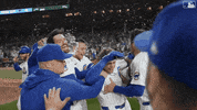 Major League Baseball Win GIF by MLB