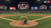 Chicago Cubs Baseball GIF