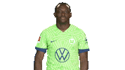 Jerome Roussillon Hello Sticker by VfL Wolfsburg