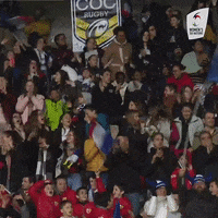 Womens6Nations fan fans womens six nations GIF