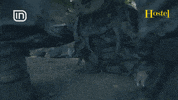 albania love GIF by Anabel Magazine