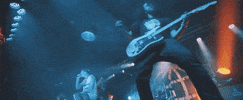 around the world and back concert GIF by State Champs