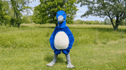 National Wildlife Refuge Idk GIF by U.S. Fish and Wildlife Service
