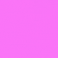 Election 2020 Florida GIF by Creative Courage