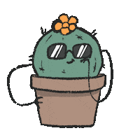 UneCactus sunglasses cactus unecactus cactifamily Sticker