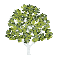 Travel Tree Sticker by Kew Gardens