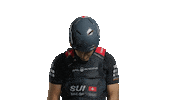 Team Switzerland Sticker by SailGP