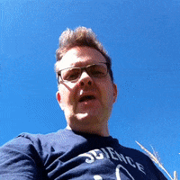 GIF by Brittlestar