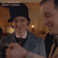 allcreaturestv animals beer cheers drinking GIF